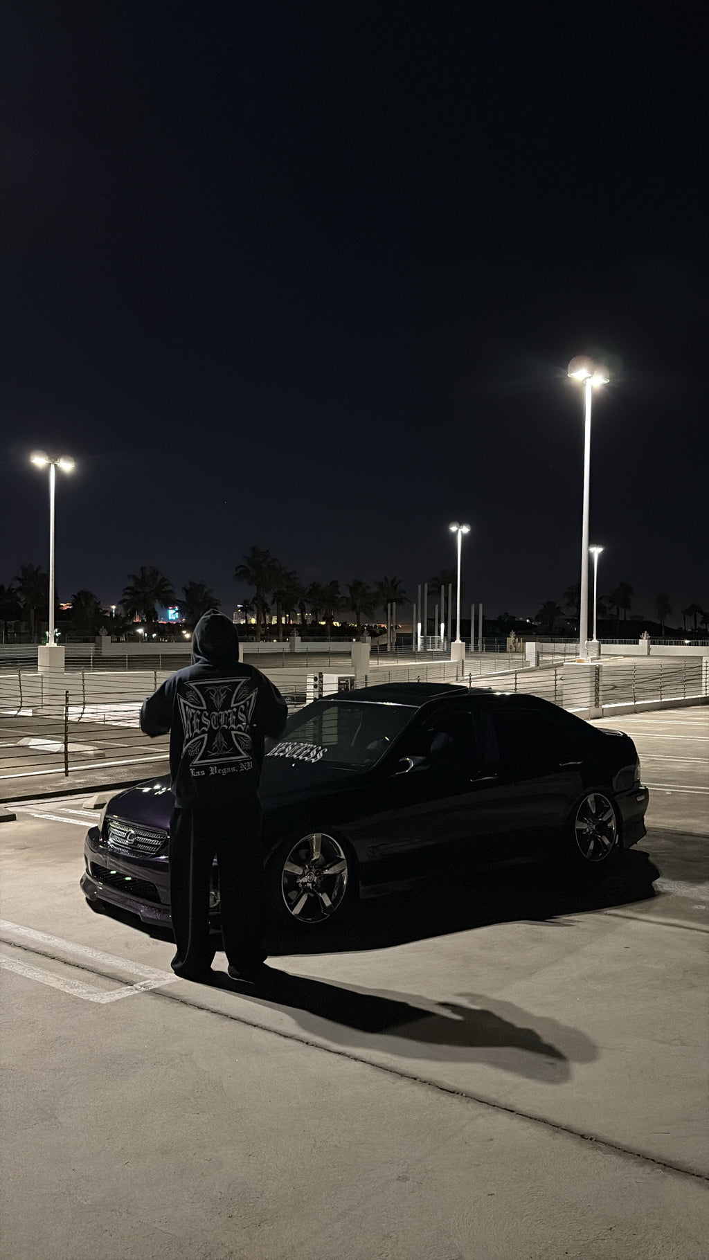 PINSTRIPE DISTRESS HOODIE